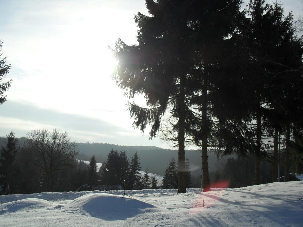 Eifelcottage Ulmen Szoba fotó