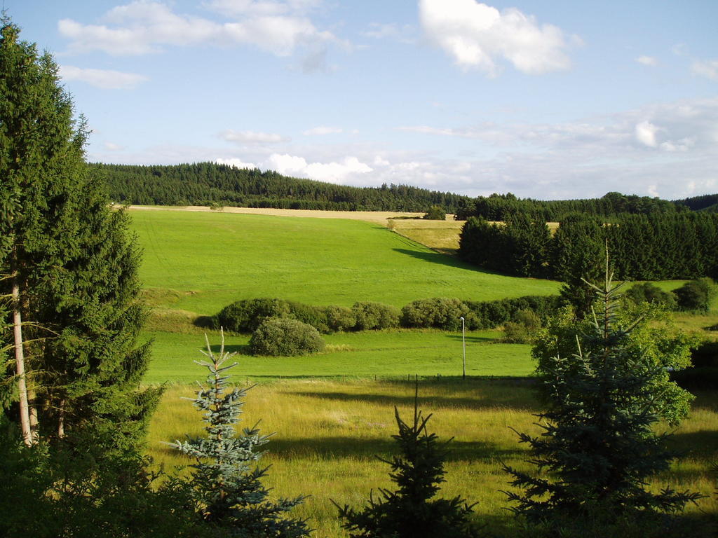 Eifelcottage Ulmen Szoba fotó