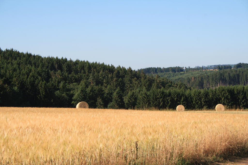 Eifelcottage Ulmen Szoba fotó